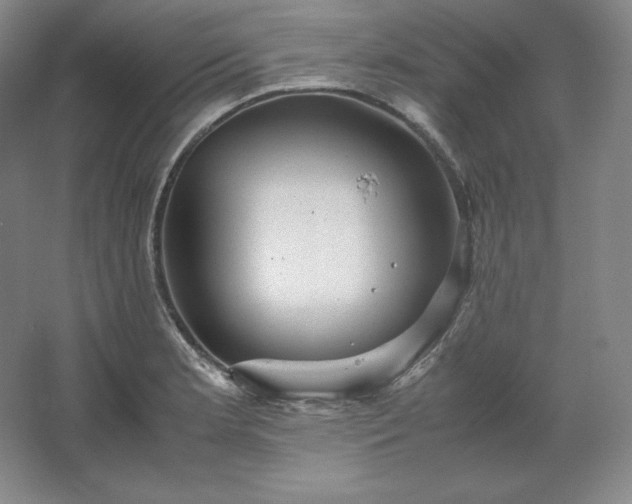 X0000062631181200512281547