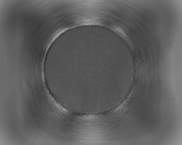 X0000062631182200512281547