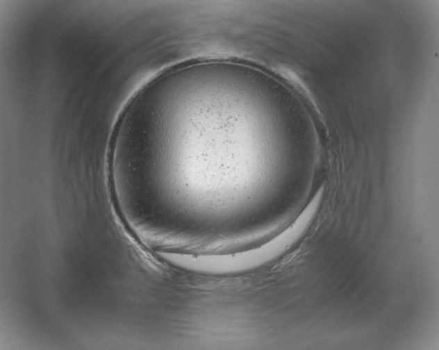 X0000062631183200512281547