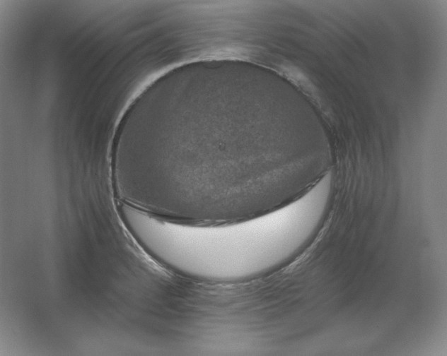 X0000062631184200512281547