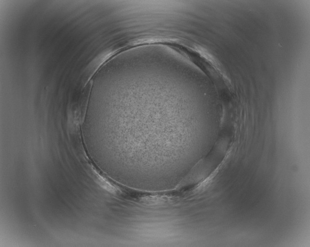 X0000062631185200512281547