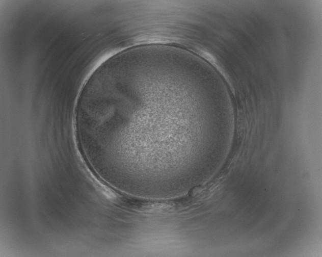 X0000062631187200512281547