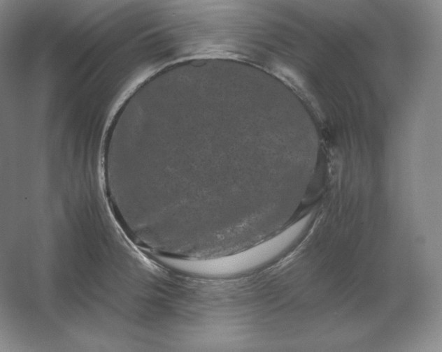 X0000062631188200512281547