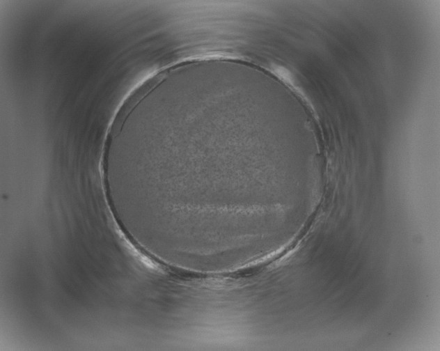 X0000062631189200512281547