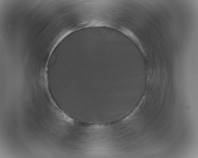 X0000062631190200512281547