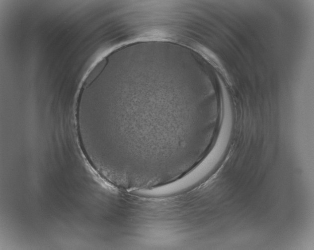 X0000062631192200512281547