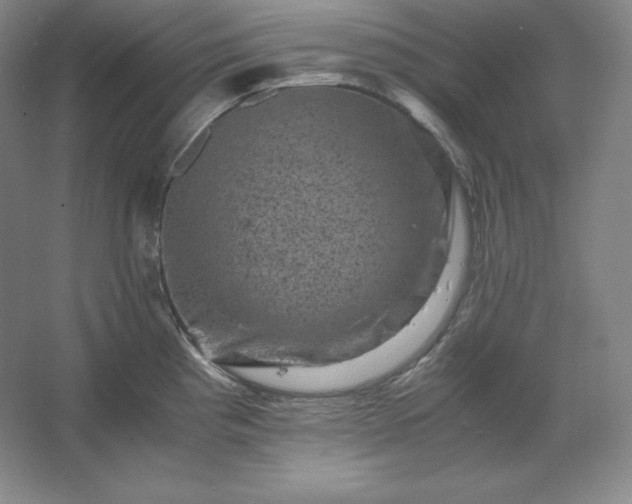 X0000062631193200512281547