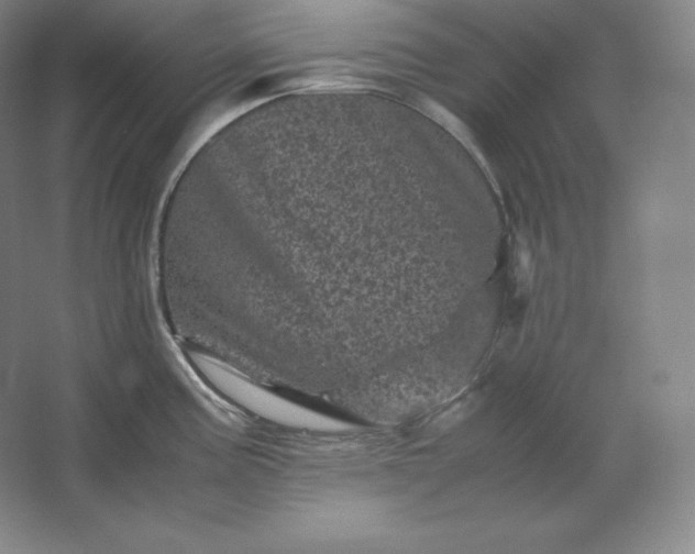 X0000062631195200512281547