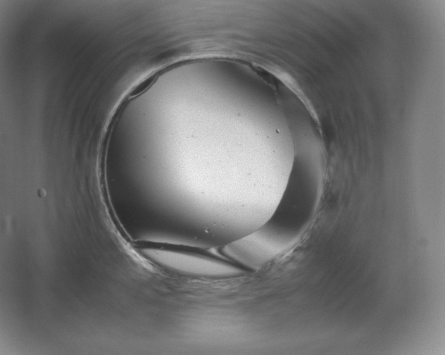 X0000062631197200512281547