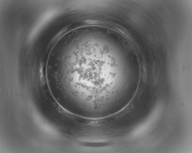 X0000062631198200512281547