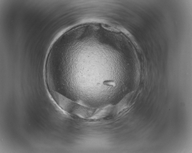 X0000062631199200512281547