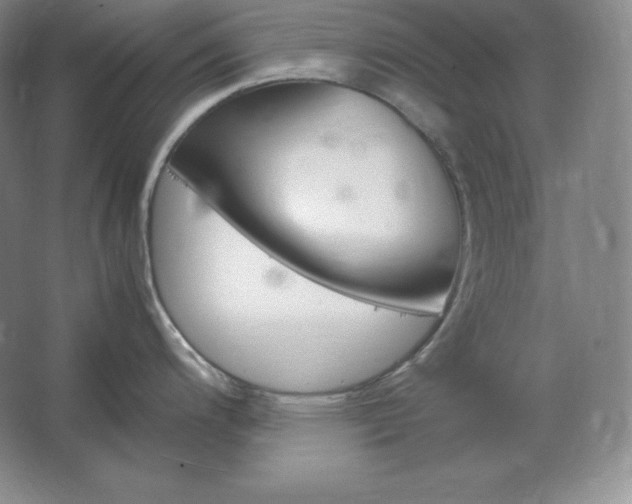 X0000062631200200512281547