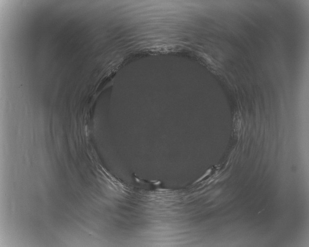 X0000062631202200512281546