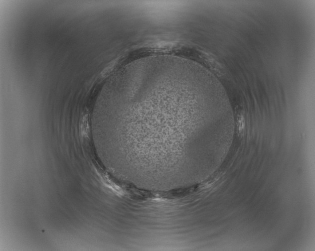 X0000062631204200512281546