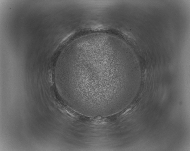 X0000062631205200512281546