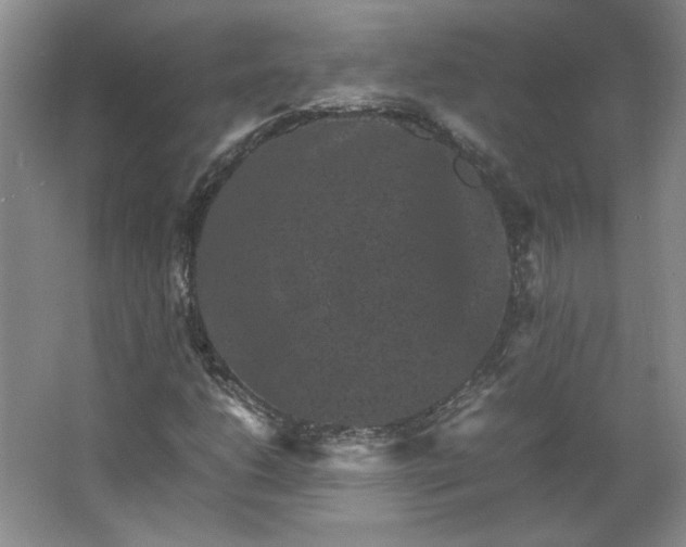 X0000062631206200512281546