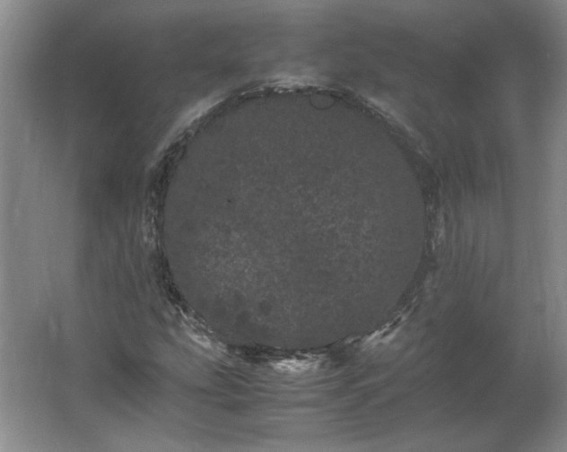 X0000062631207200512281546