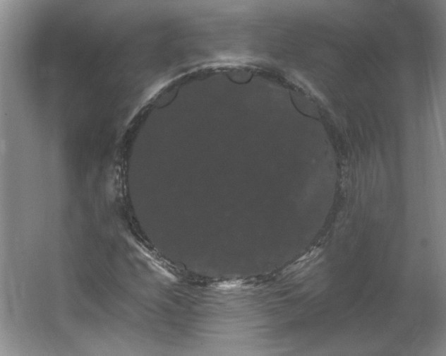 X0000062631208200512281546