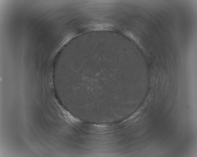 X0000062631211200512281546