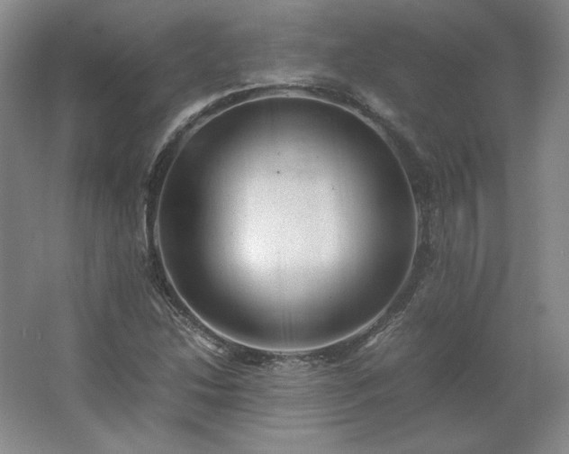 X0000062631214200512281546