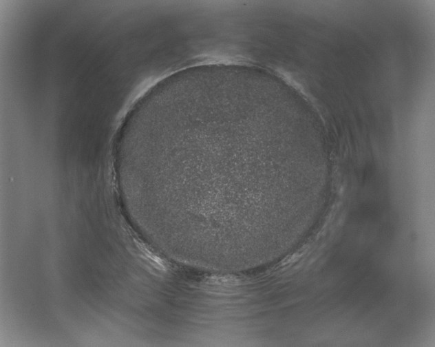 X0000062631215200512281546