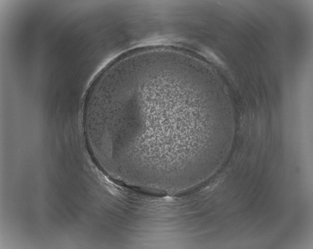 X0000062631216200512281546