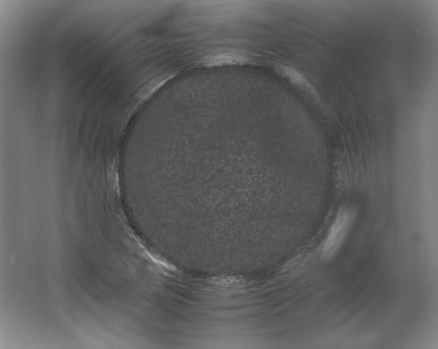 X0000062631217200512281546