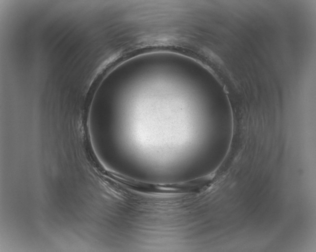 X0000062631218200512281547