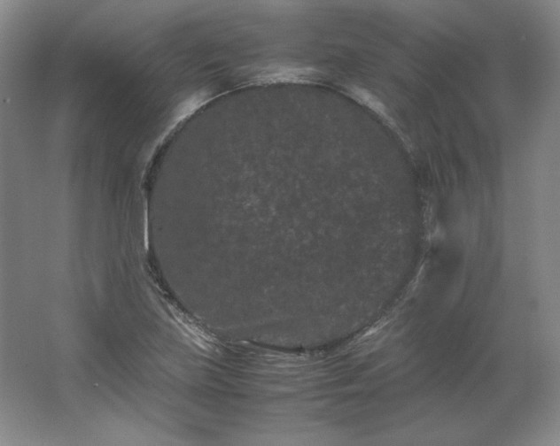 X0000062631219200512281547