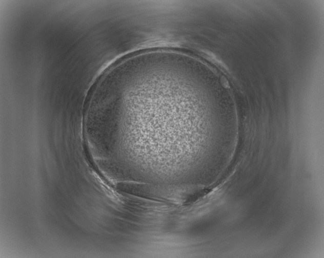 X0000062631220200512281547