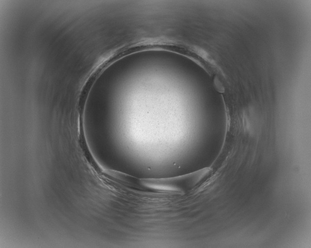 X0000062631221200512281547