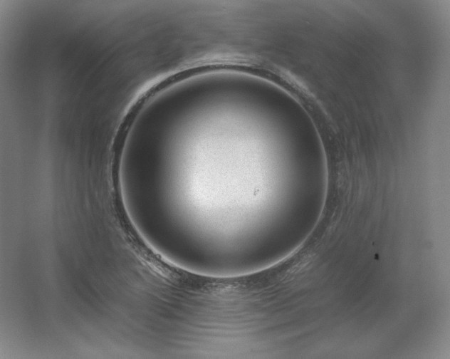 X0000062631222200512281547