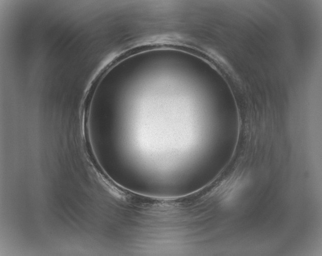 X0000062631224200512281547