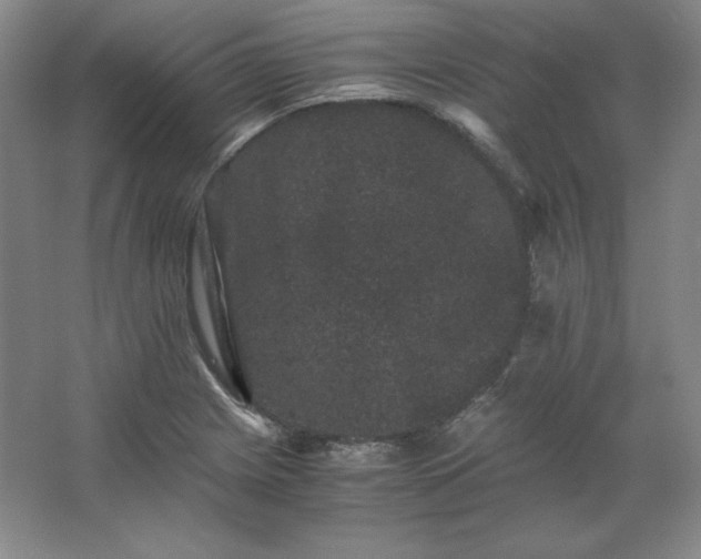 X0000062631225200512281547