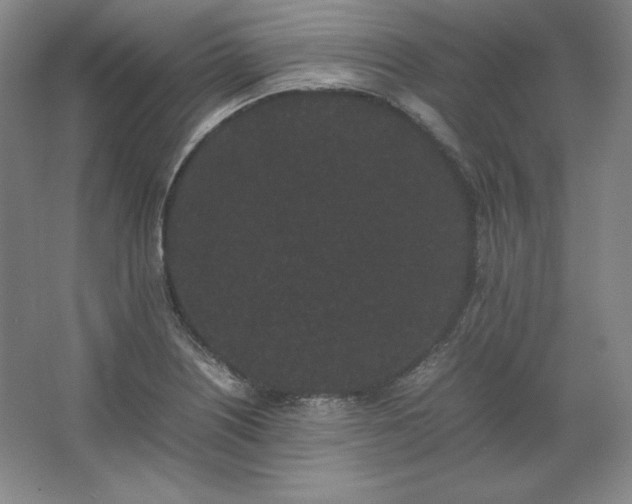 X0000062631226200512281547