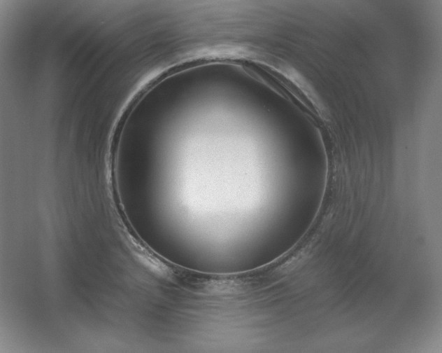 X0000062631232200512281547