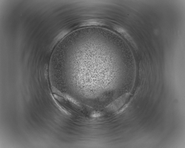 X0000062631233200512281547