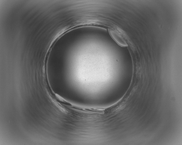 X0000062631234200512281547