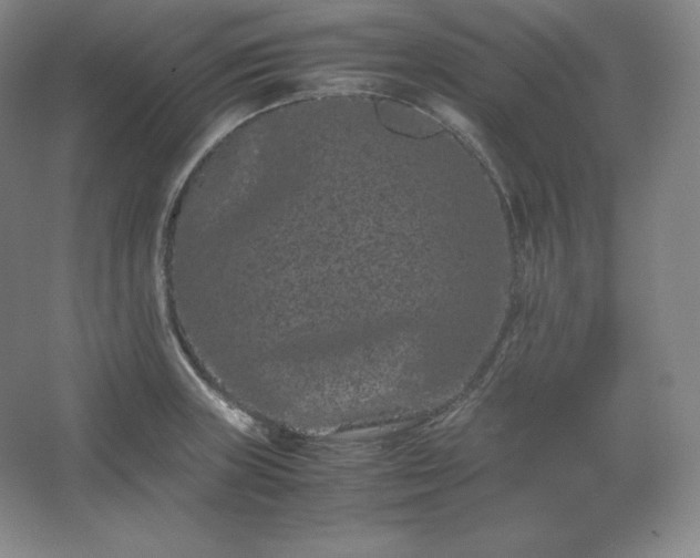 X0000062631235200512281547