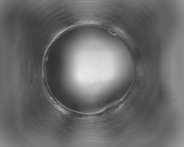 X0000062631236200512281547