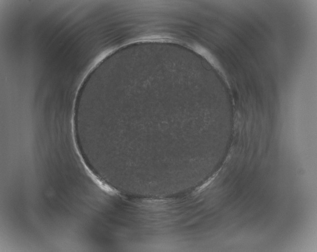 X0000062631237200512281547