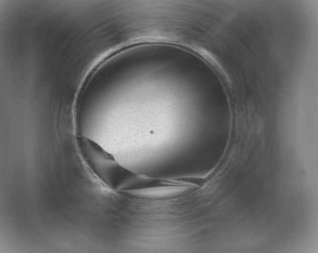 X0000062631238200512281547