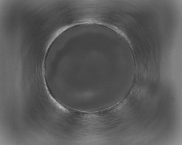 X0000062631239200512281547