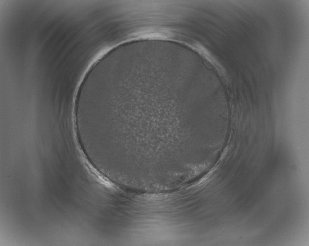 X0000062631240200512281547