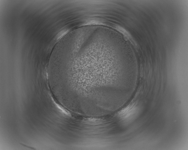 X0000062631241200512281547