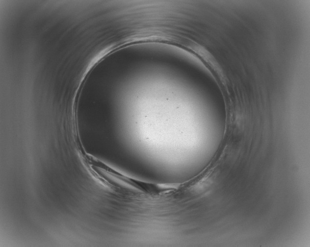 X0000062631242200512281547