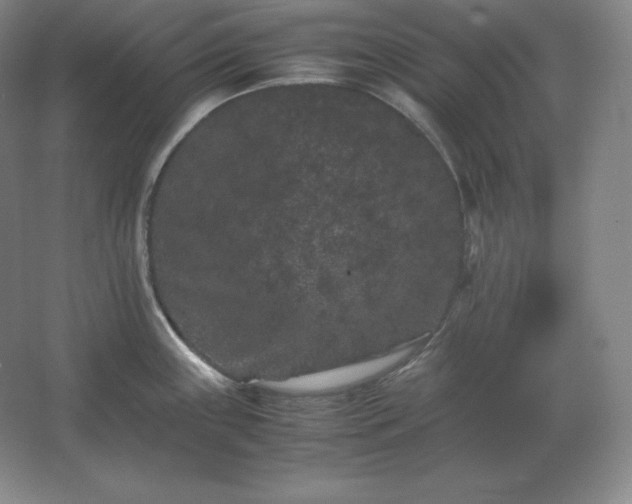 X0000062631243200512281547