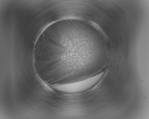 X0000062631244200512281547