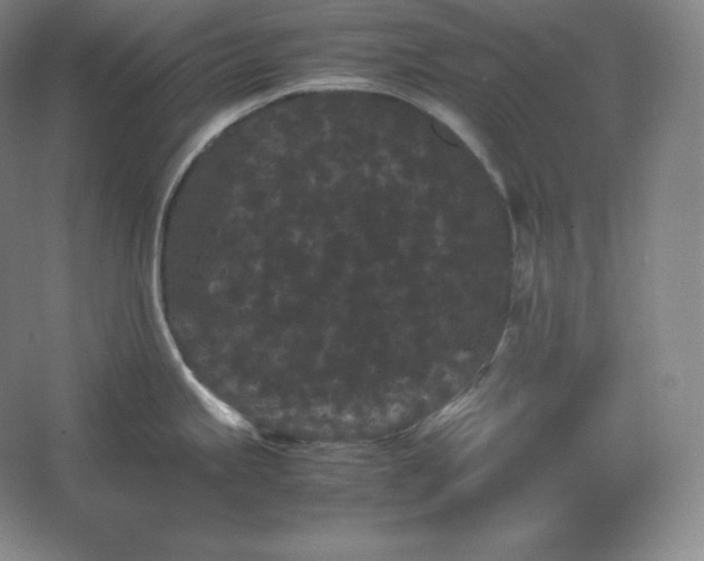 X0000062631245200512281547