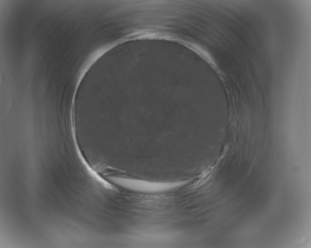 X0000062631247200512281547